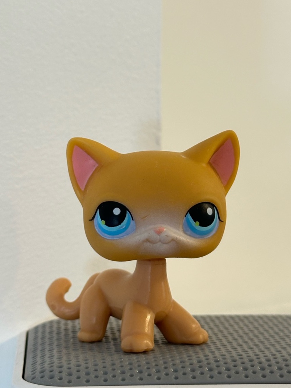Littlest Pet Shop Shorthair Cat #71
